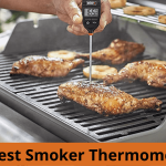 Best Smoker Thermometer | Digital Thermometer For Smoking
