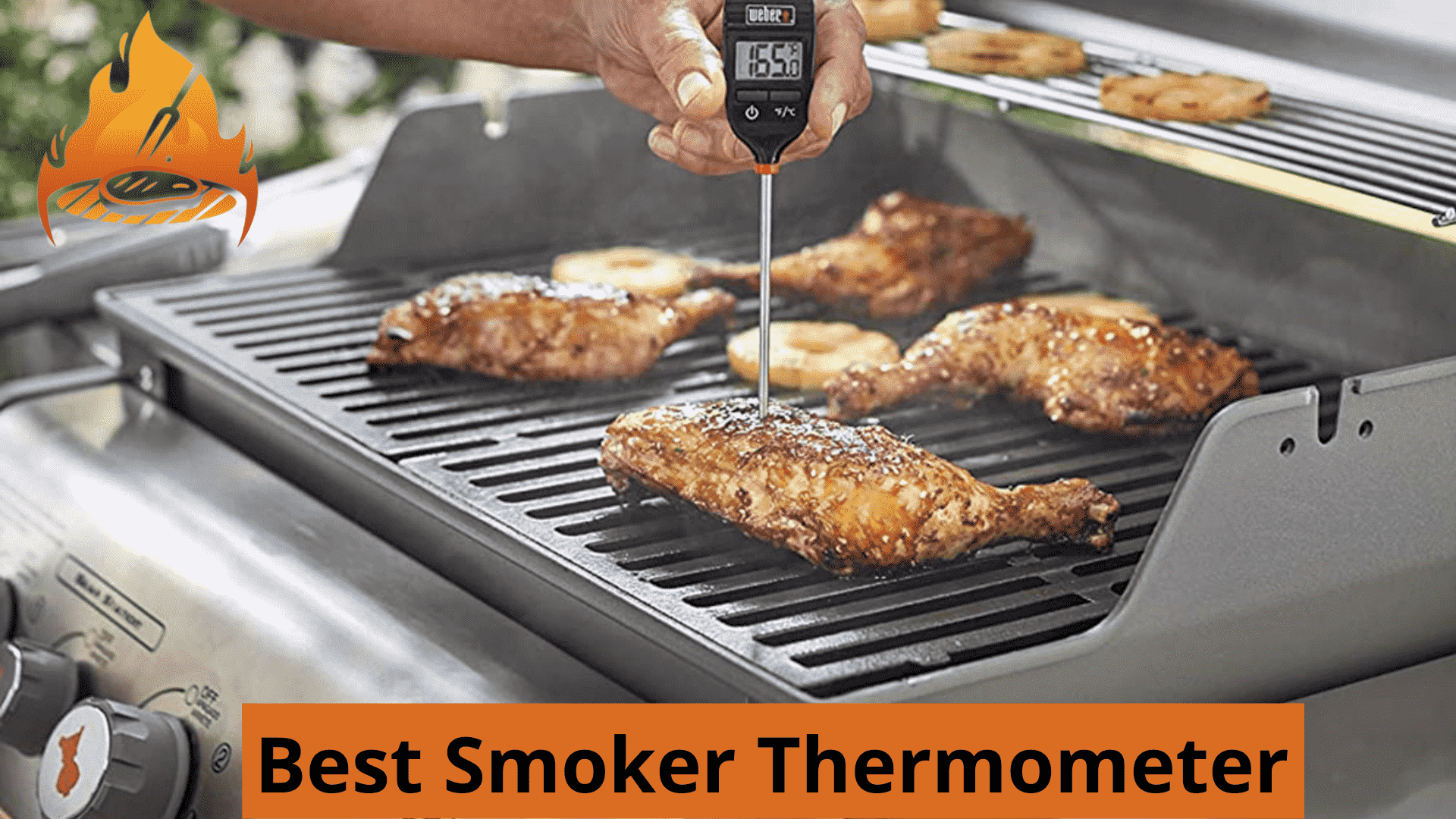 Best Smoker Thermometer